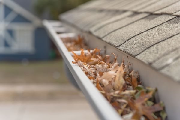 Leaf Barrier Installation in Saint Charles